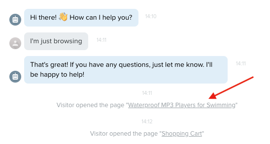 lead-generation-bots-visitor-behavior Conversation with a chatbot